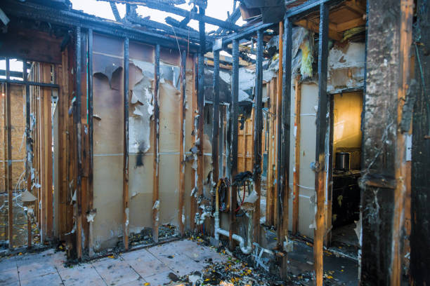 Professional Fire Damage Removal technician working in Brownton, MN