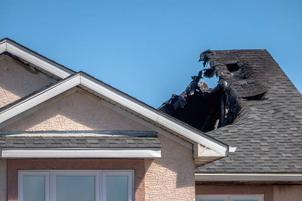Top rated local Fire Damage Removal specialists in Brownton, MN
